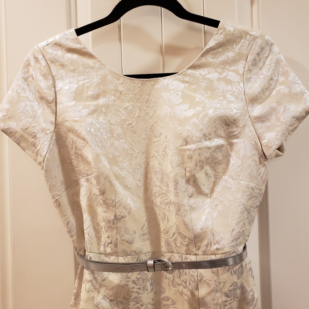 BNWOT perfect holiday or party dress